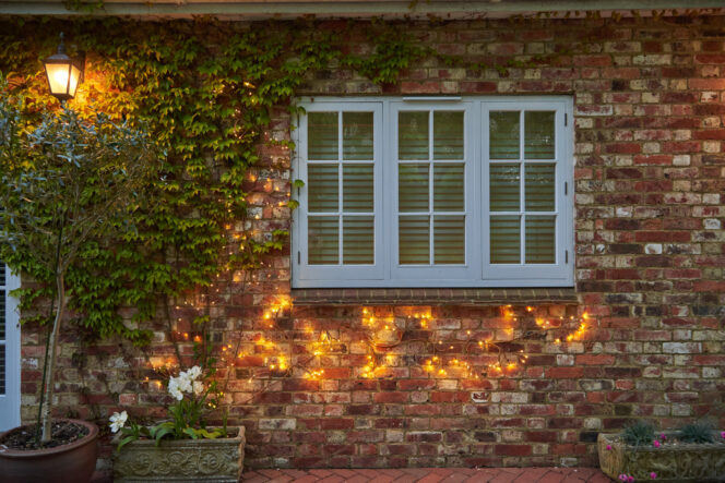 Solar Ivy - Image 2