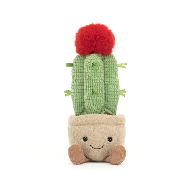 Jellycat Amuseable Moon Cactus - Image 5