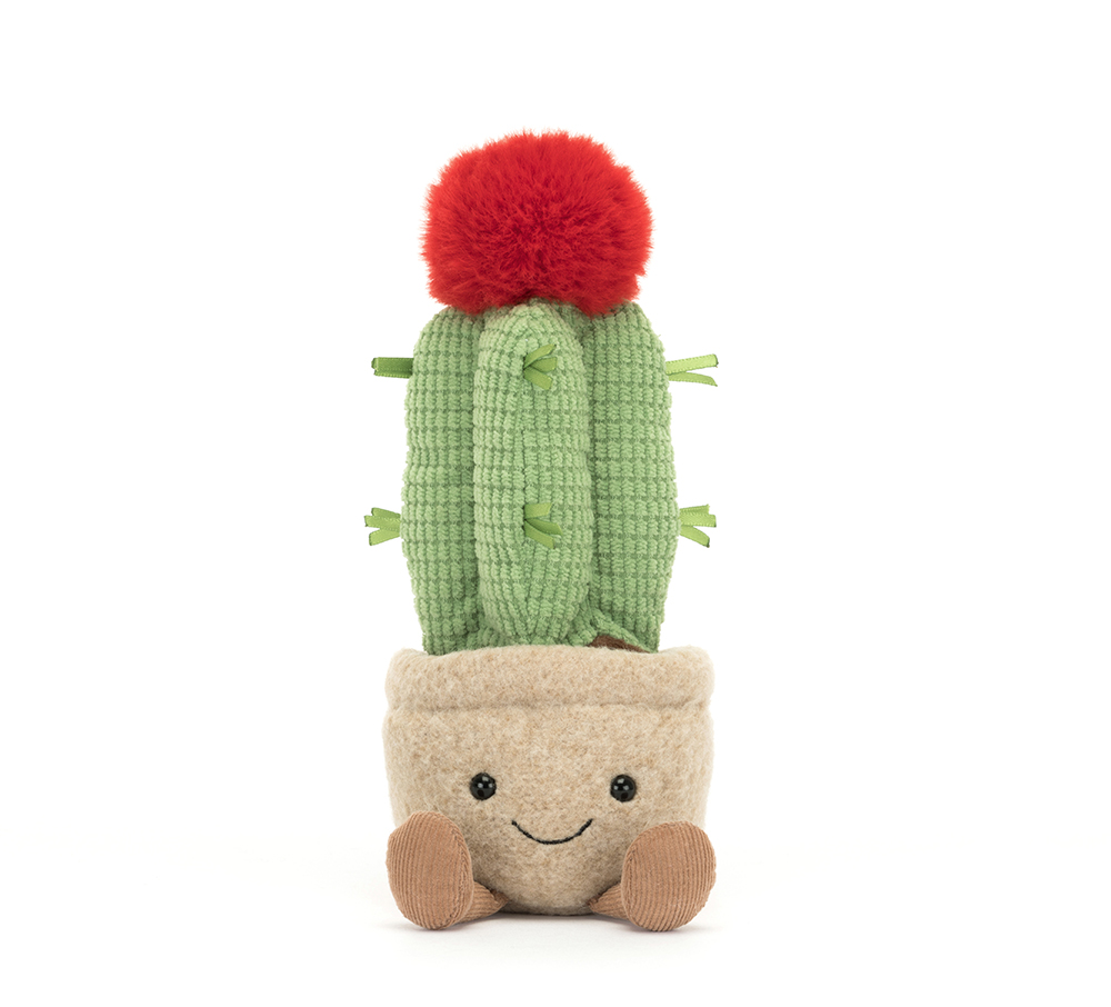 Jellycat Amuseable Moon Cactus - Image 5