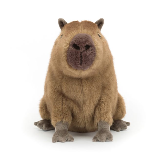Jellycat Clyde Capybara - Image 5