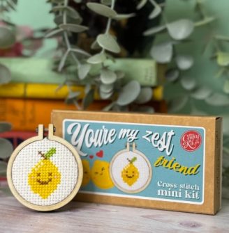 You're My Zest Friend Mini Matchbox Cross Stitch Kit - The Crafty Kit Co