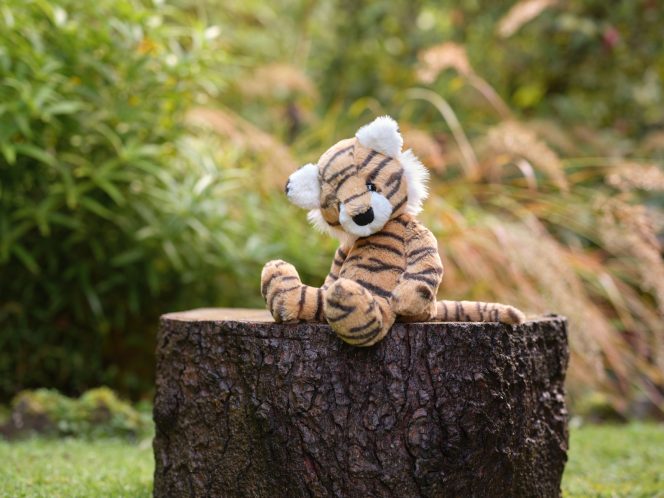 Terry Tiger - Bear & Me by Charlie Bears - Image 6