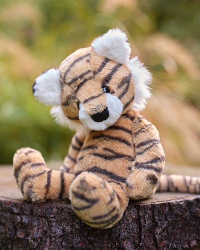 Terry Tiger - Bear & Me by Charlie Bears - Image 5