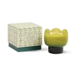 Paddywax - Tulip Green and Dark Green Glass Candle - Verbena & Lemongrass