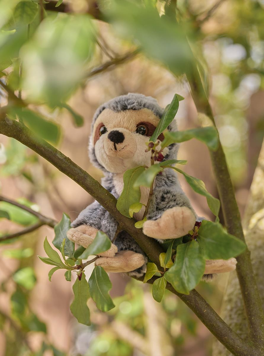 Cuddle Cubs Sloth by Charlie Bears - Image 3