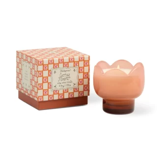 Paddywax - Tulip Pink and Burnt Orange Glass Candle - Cactus Flower